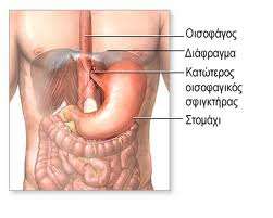 Σύγχρονες χειρουργικές επιλογές για τις παθήσεις του οισοφάγου
