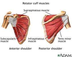 Σύνδρομο υπακρωμιακής προστριβής (Rotator Cuff Tears)