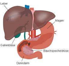 Hadassah Hospital pioneers new type of liver cancer treatment