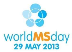 WMS Day 2013 (2)