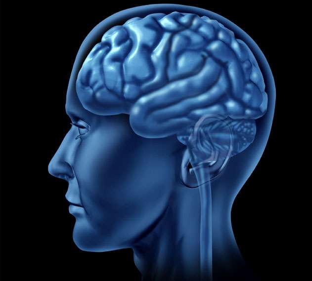 Nευροβιολογία των όγκων του ανθρώπινου εγκεφάλου