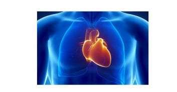 Καρδιαγγειακός κίνδυνος & ρευματικά νοσήματα
