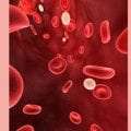 Ο ρόλος των αιμοπεταλίων στην αιμόσταση και στην εν γένει λειτουργία του οργανισμού – Σχετιζόμενες ασθένειες.