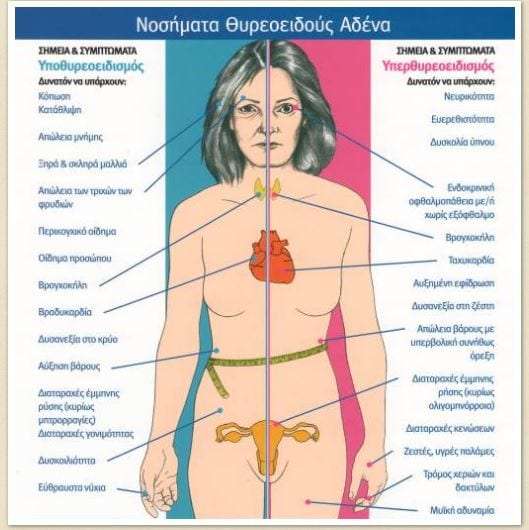 Τι είναι ο θυρεοειδής;