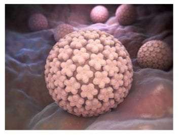 Η σχέση του HPV με τον καρκίνο της κεφαλής και του τραχήλου