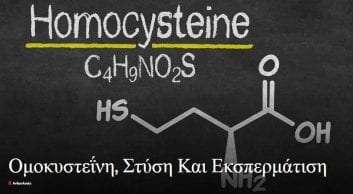 Ομοκυστεΐνη, Στύση Και Εκσπερμάτιση