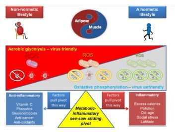 SARS-CoV-2 και μιτοχονδριακή υγεία: επιπτώσεις στον τρόπο ζωής και τη γήρανση
