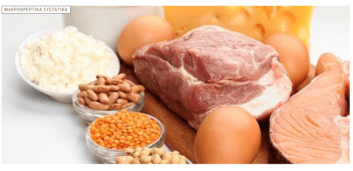 πλούσιες τροφές σε πρωτεΐνη
