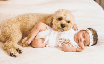 Σκύλος και νεογέννητο: Τα οφέλη στη σωματική υγεία και τη μετέπειτα ψυχική υγεία και συναισθηματική ανάπτυξη